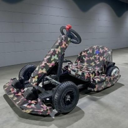 صورة سكوتر كارتنج 36 فولت